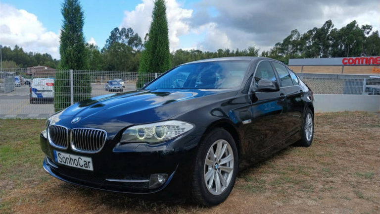 bmw 525 (5)