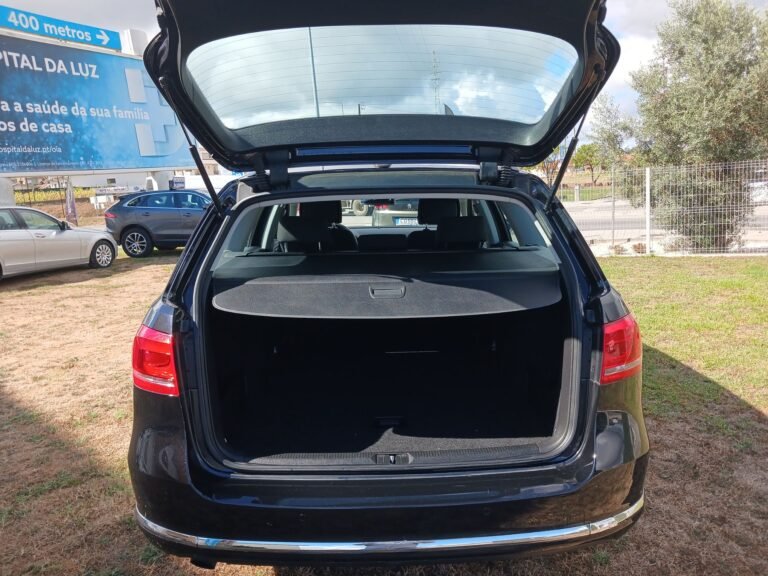 VW PASSAT (6)