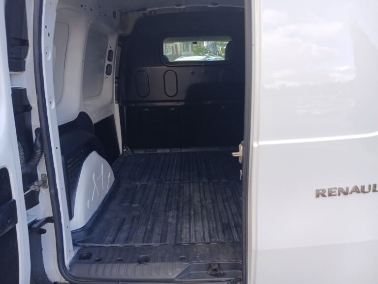 REN KANGOO (1)
