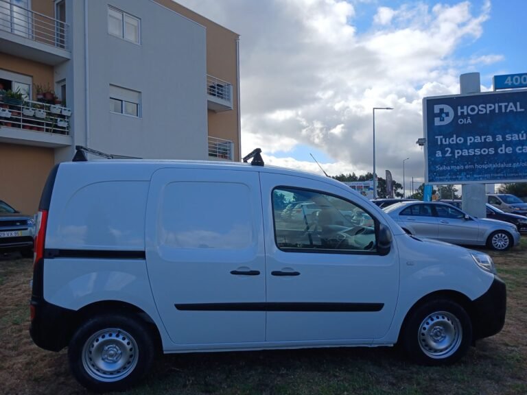 REN KANGOO (10)