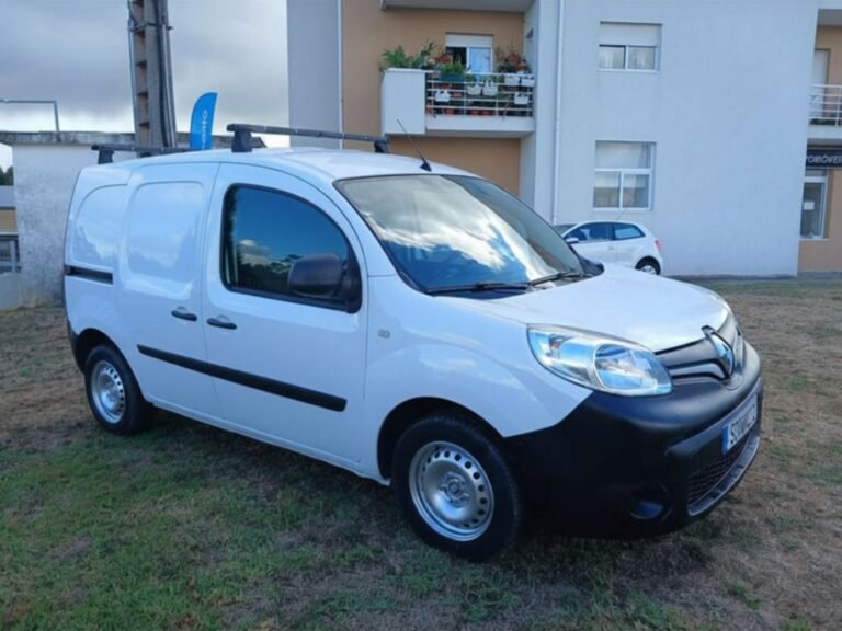 REN KANGOO (11)