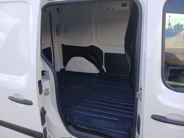 REN KANGOO (2)
