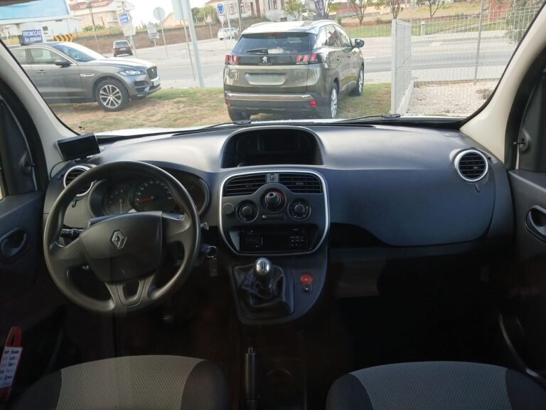REN KANGOO (3)