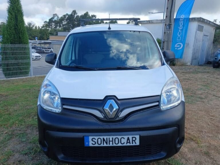 REN KANGOO (4)