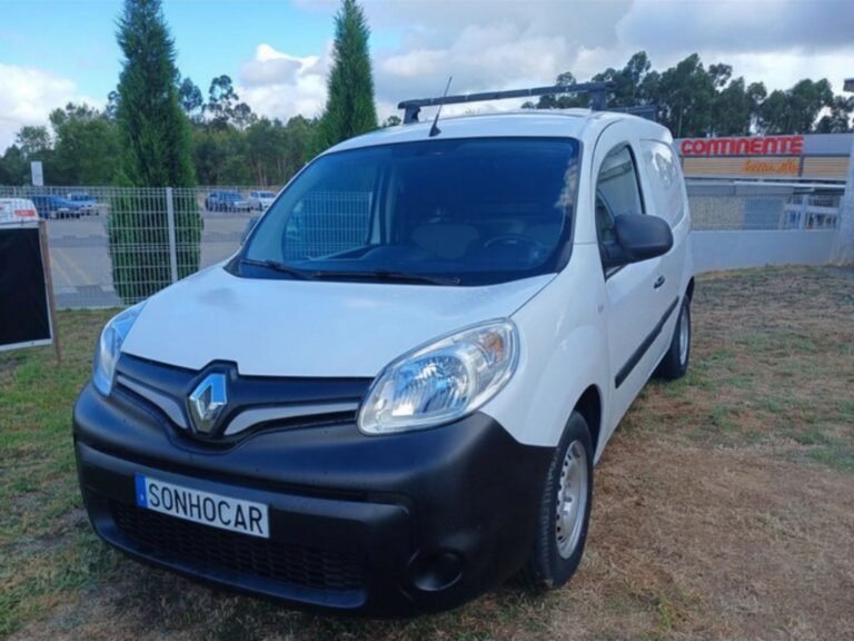 REN KANGOO (5)