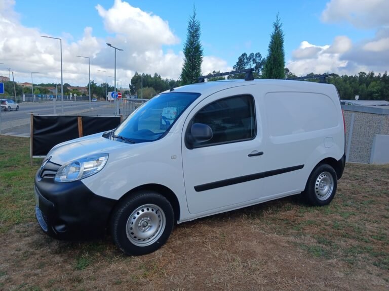 REN KANGOO (6)