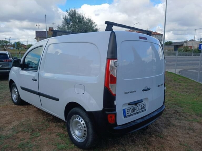REN KANGOO (7)