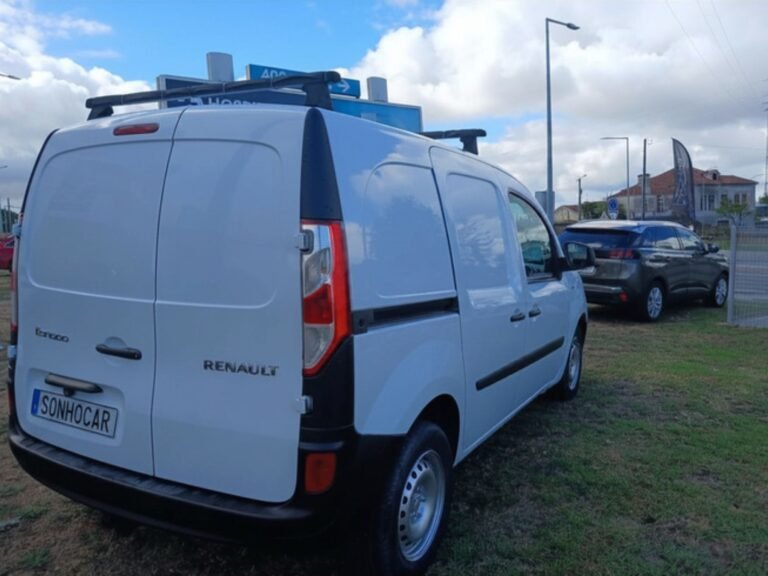REN KANGOO (8)