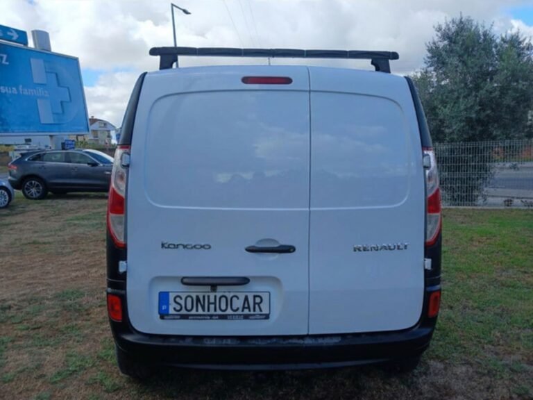 REN KANGOO (9)